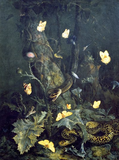 Snakes and Butterflies, 1670 by Otto Marseus  van Schrieck